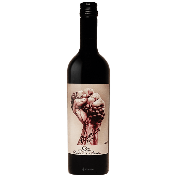 Bodega Pablo Fallabrino Anarkia Tannat